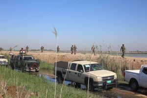 حشدالشعبی به حالت آماده باش درآمد