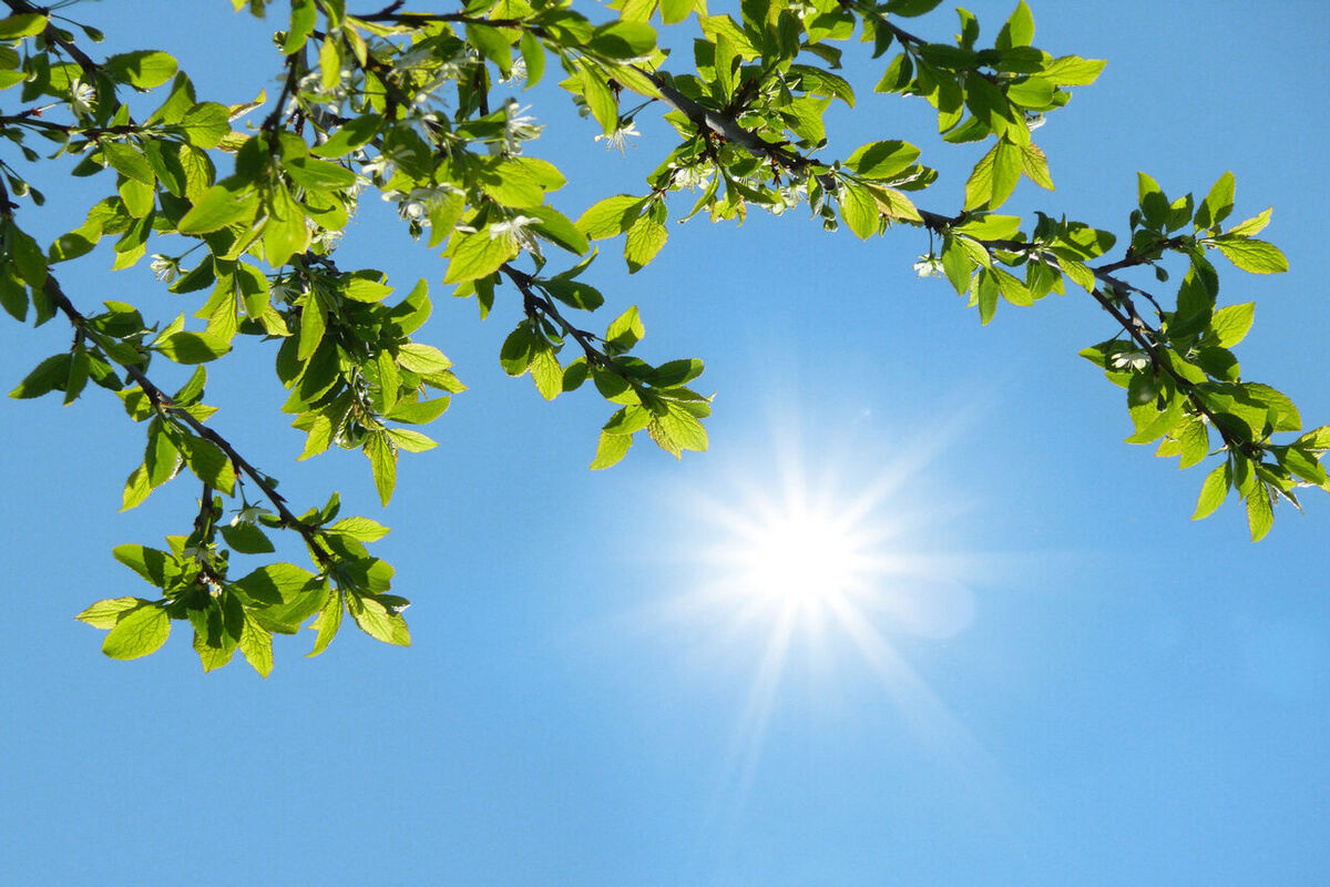 هواشناسی هرمزگان