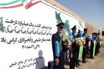آغاز عملیات کاشت نهال در ۲۰ هکتار از اراضی مسجد مقدس جمکران