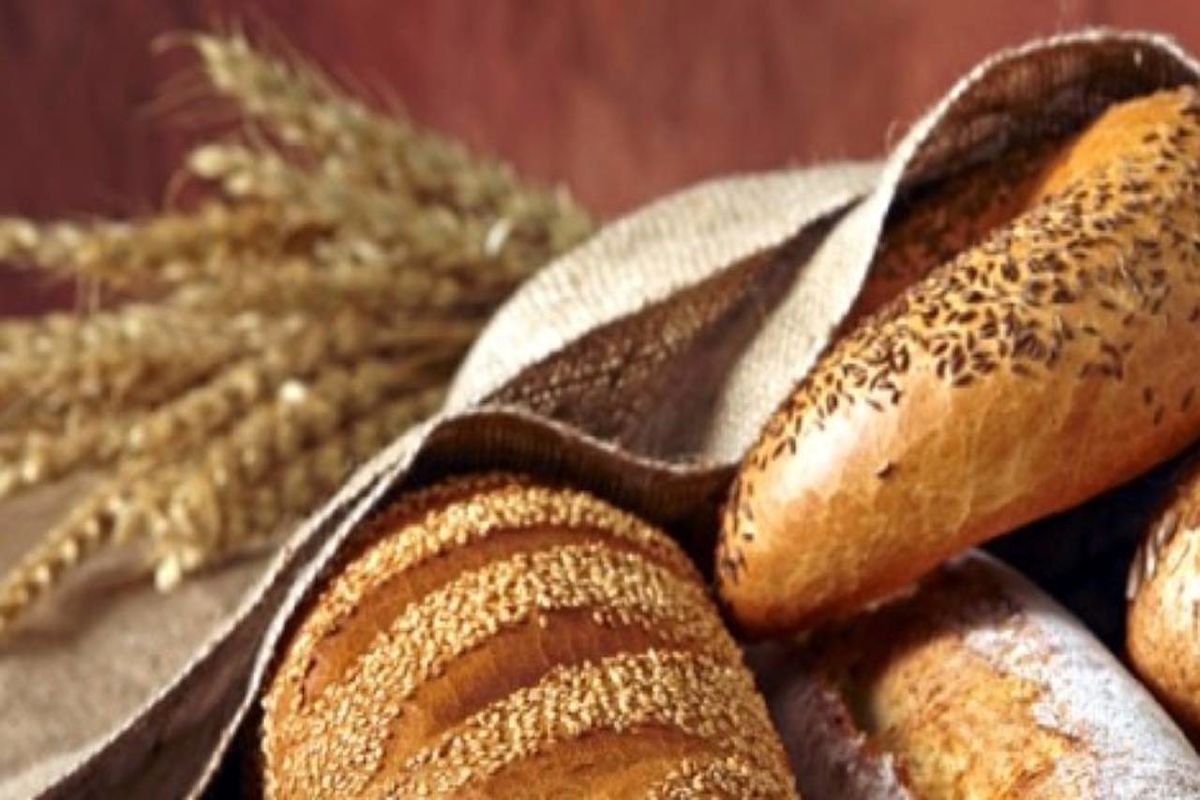 فستیوال نان و گندم در بافت تاریخی بندرلنگه 