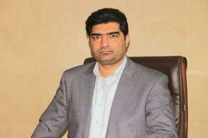 ۲۵۰ هکتار جنگل‌کاری در جنوب کرمان طی سال ۹۹ انجام شده است 