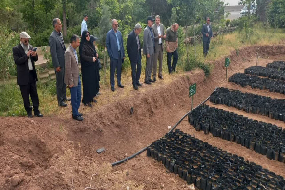 منابع طبیعی