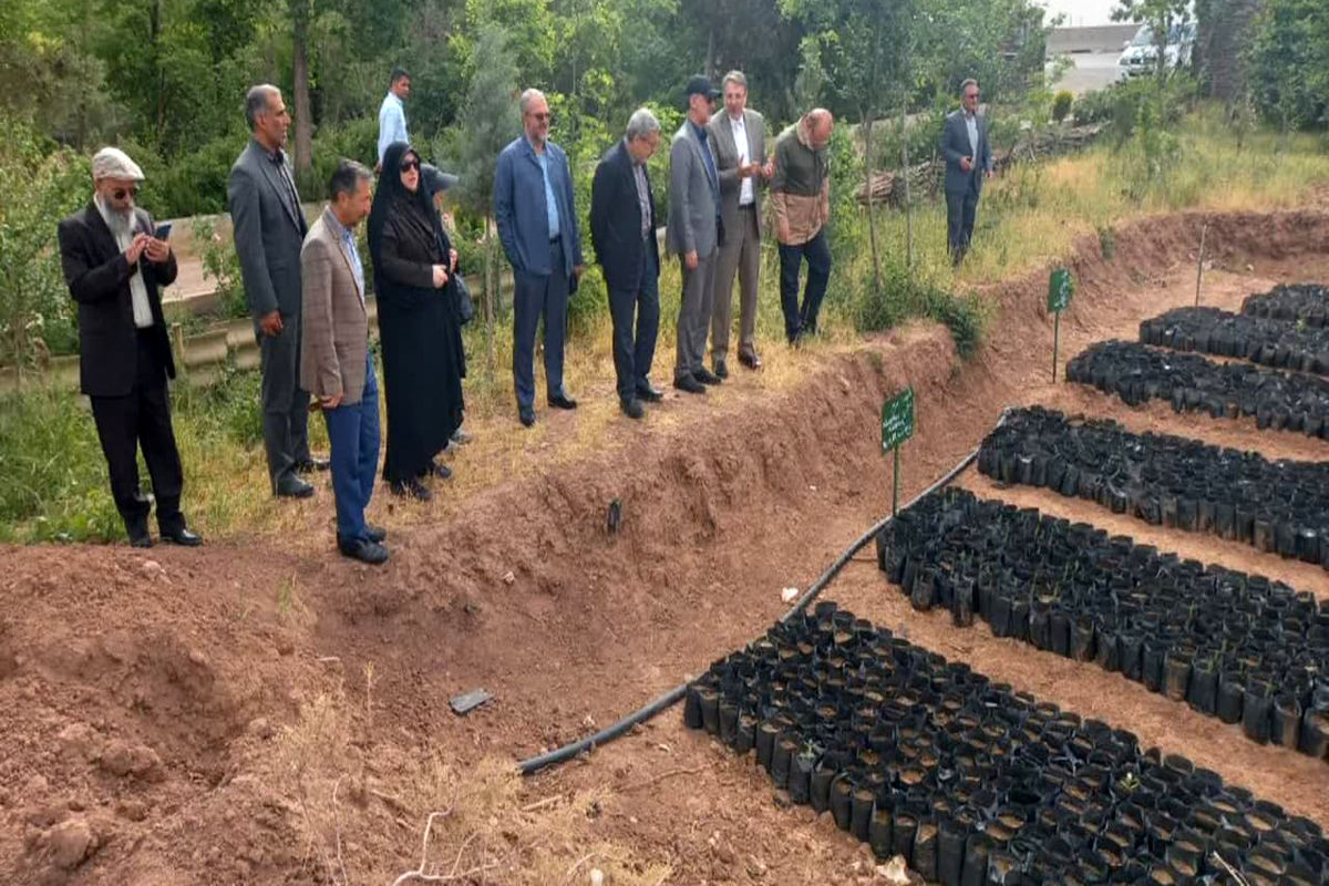 منابع طبیعی