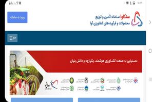 مرغداران استان از طریق سامانه ستکاوا نسبت به کشتار مرغ خود اقدام کنند