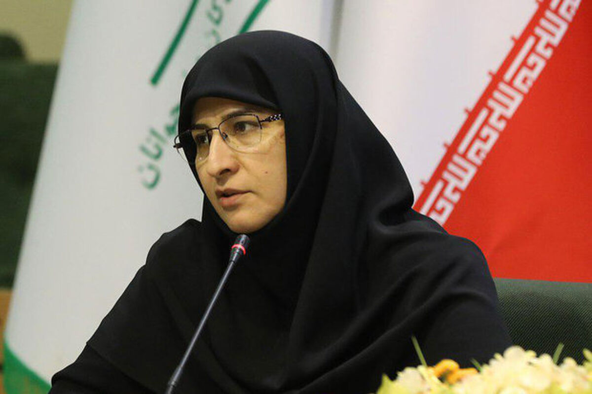 نشست خبری رضوان حکیم زاده