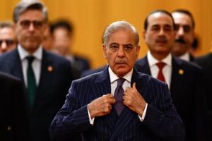 دیدار شهباز شریف با ونس