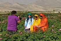 تقویم رویدادهای گردشگری استان فارس آماده می‌شود