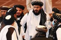 ما دستورکاری برای یک امارت اسلامی داریم