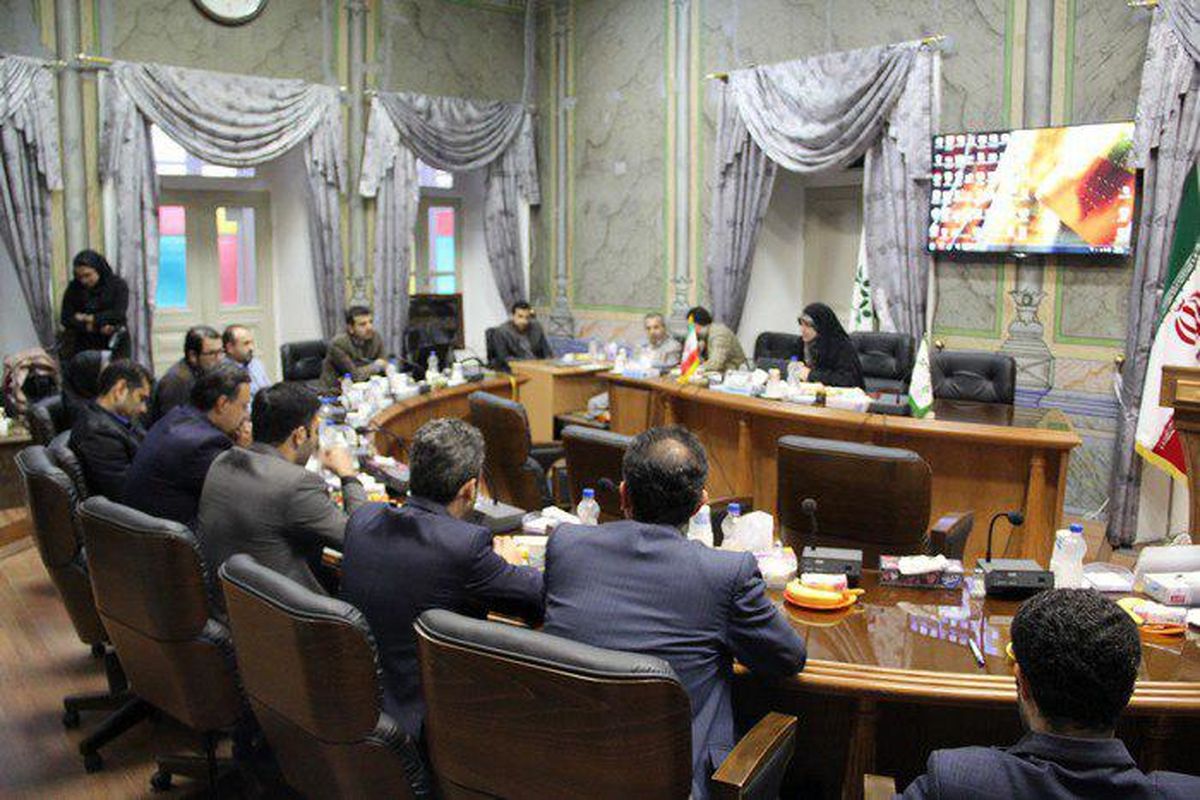 کمیسیون بهداشت شورا