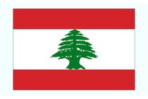 شکایت لبنان از رژیم صهیونیستی در شورای امنیت سازمان ملل
