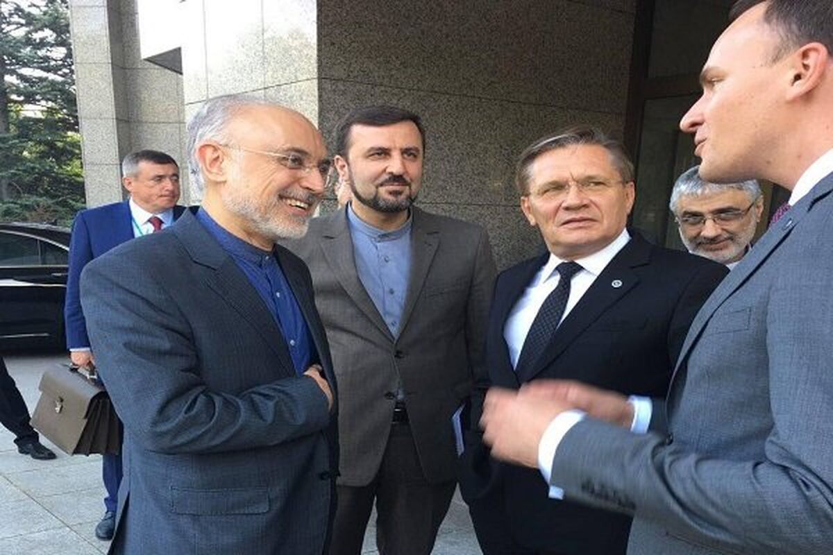 دیدار صالحی با رییس روس اتم