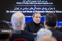 حضور هیئت ایران در نیویورک بسیار قوی و مؤثر بود