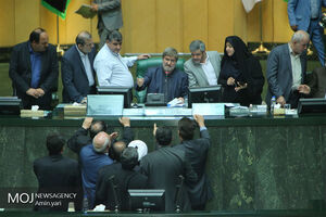 بسیاری از کارهای خوب مجلس نیمه کاره رها شده است/ یاد نگرفته ایم مسائل شخصی و کاری را جدا کنیم