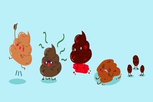 تشخیص سلامت جسم از روی شکل مدفوع | رازهای سلامتی که در مدفوع شما پنهان است