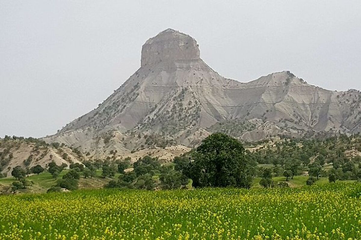 ایلام