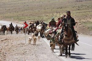 وضعیت مناطق عشایری همچنان سفید است/ عشایر 36درصد گوشت قرمز استان اردبیل را تامین می کنند