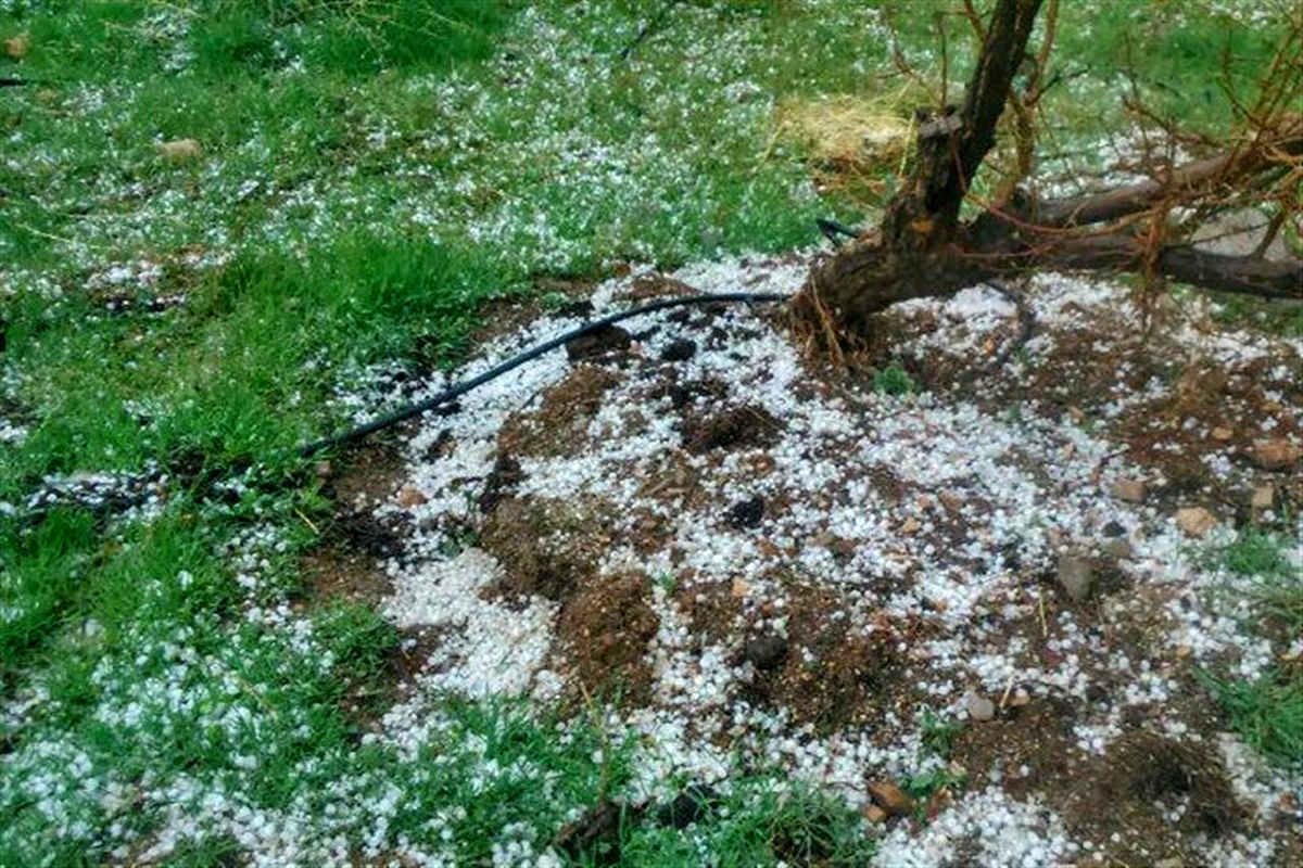 اصفهان- خسارت