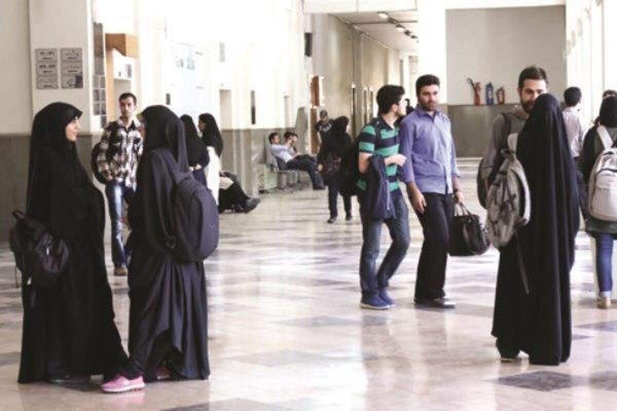 دانشگاه