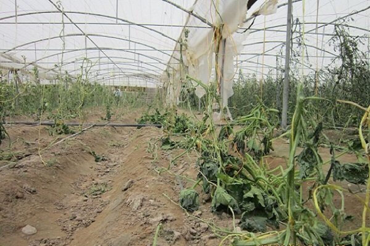 طوفان در نیشابور