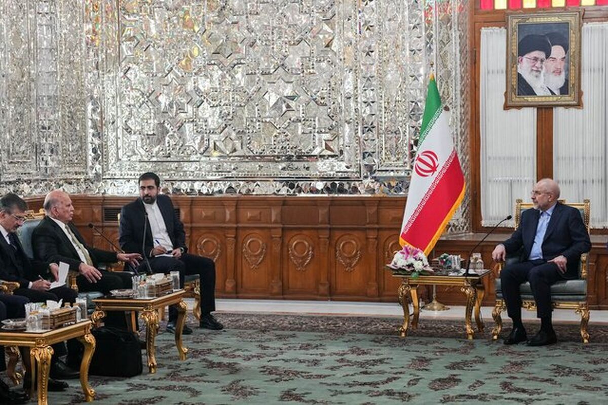 رئیس مجلس در دیدار وزیر خارجه عراق