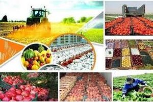نیاز ۴۶ همتی برای پوشش بیمه‌ای تمام زیربخش‌های کشاورزی
