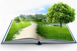 هلدینگ خلیج فارس در خصوص کاهش CO2 ،می‌تواند تمامی تعهدات زیست محیطی بین‌المللی وزارت نفت را محقق کند