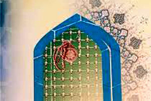 سمینار ملی محراب مسافر در قم برگزار می‌شود