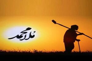 مستندهای تازه در قاب سیما/ از «ملامحمد» تا «شباهت‌های حیوانات»