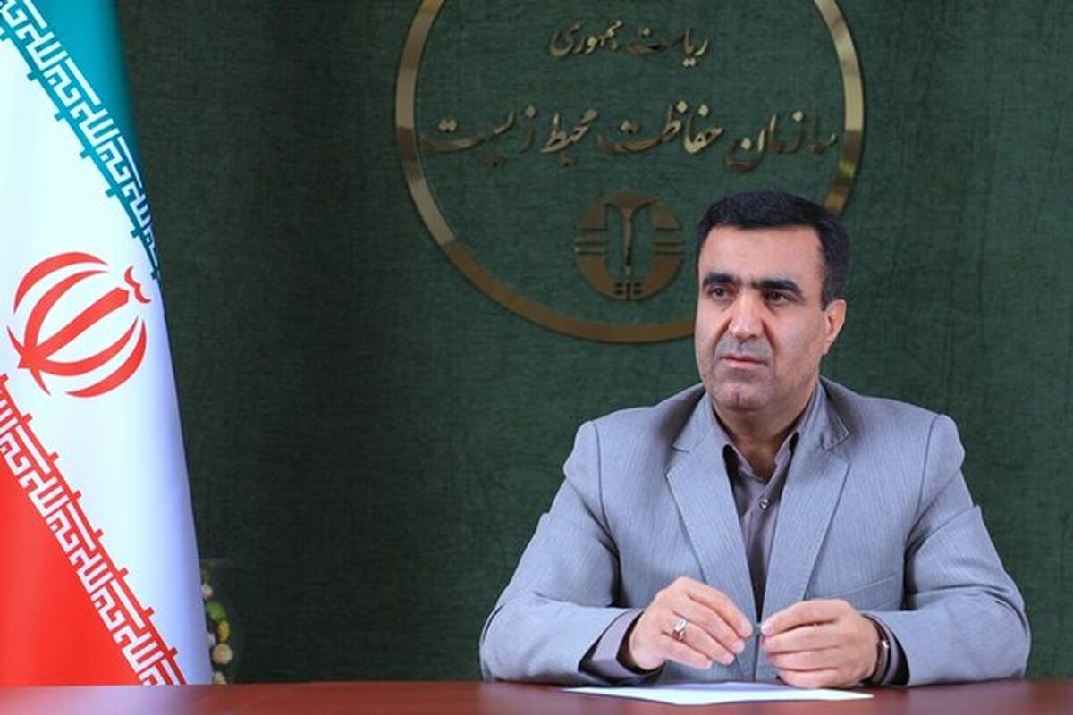 معاون رئیس جمهور