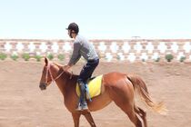 جشنواره سوارکاری به میزبانی مشگین شهر برگزار می شود