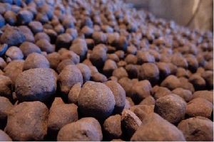 اتاق بازرگانی ایران برای حمایت از پارک‌های علم و فناوری آمادگی نشان داد