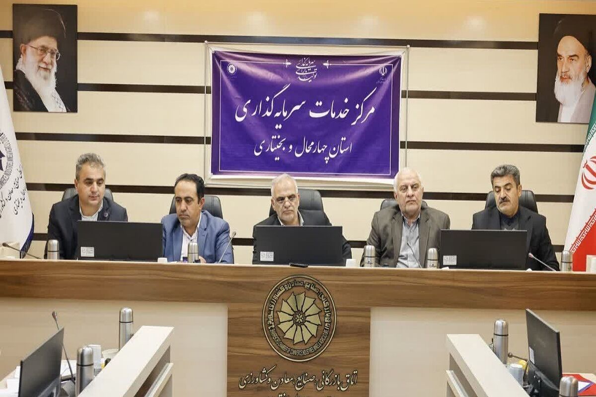سرمایه گزاری