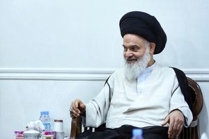 طرح نور (حجاب و عفاف) با ظرافت، درایت و آرامش اجرا گردد