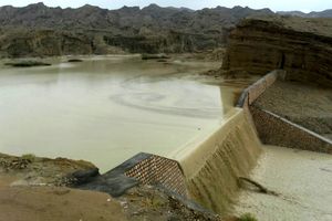 بارش باران بشاگرد را سیراب کرد