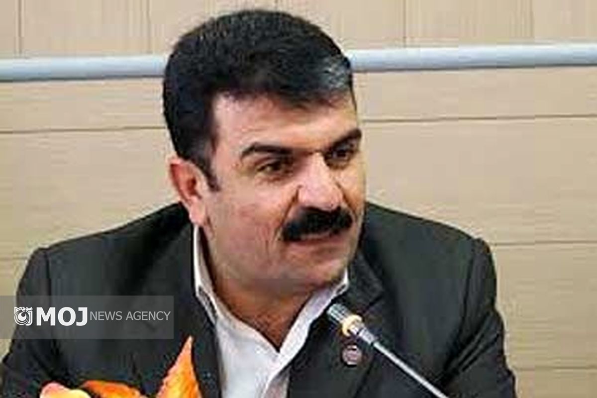 سیدجمیل احمدی