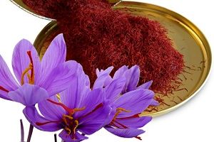 طلای سرخ ایرانی به یغما رفت