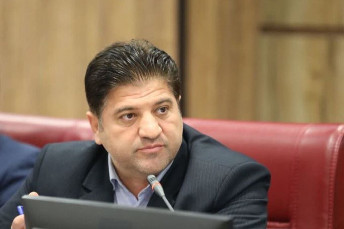 شریفی