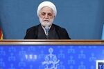 حجت‌الاسلام والمسلمین محسنی اژه‌ای‌ وارد دهلی‌ شد 