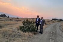 بازدید میدانی مدیرکل منابع طبیعی و آبخیزداری استان ایلام از پروژه های اجرایی شهرستان بدره