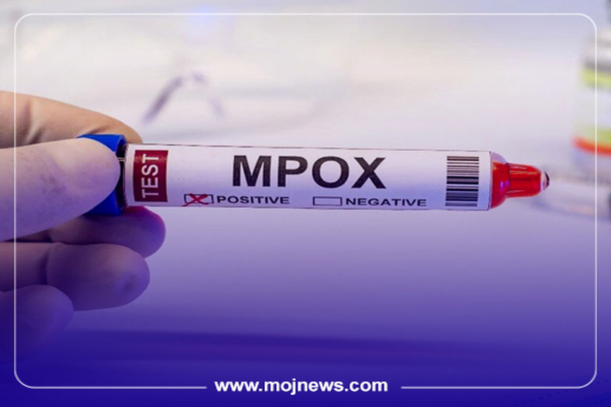 کاور ابله میمون موج