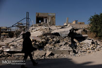  197 هزار راس دام سبک و 3800 راس دام سنگین در زلزله کرمانشاه تلف شدند