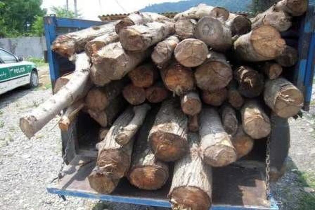 اصفهان-+کشف+چوب+قاچاق
