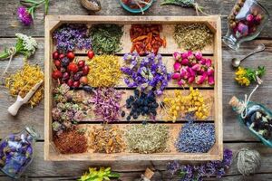 تدوین نقشه راه ملی تولید گیاهان دارویی