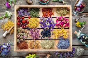 "داشبورد گیاهان دارویی فارس" الگویی  برای کشور 