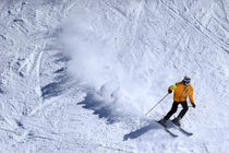 علیرضا مقدید به ایران بازگشت
