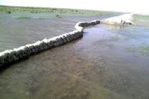 بازگشایی دایک مرزی در ورودی آب به تالاب هامون