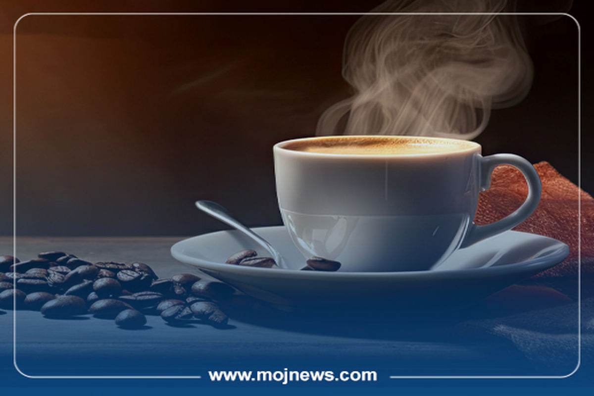 کاور اینفو2 copy