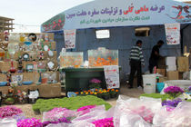 جانمایی اولیه غرفه های موقت عرضه و فروش ماهی گلی و مصنوعات تزئینی سفره هفت سین