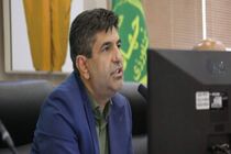 به زودی بازار ثبات خواهد یافت