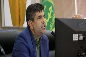 به زودی بازار ثبات خواهد یافت